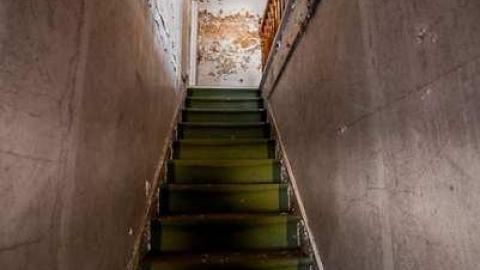 Anybody seen the Bridge? - Tremaine II-8957.jpg