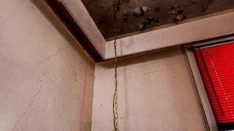 Anybody seen the Bridge? - Tremaine II-8958.jpg