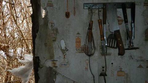 Upstairs April 2013 - Farmhouse-NE-of-Fergus8.jpg