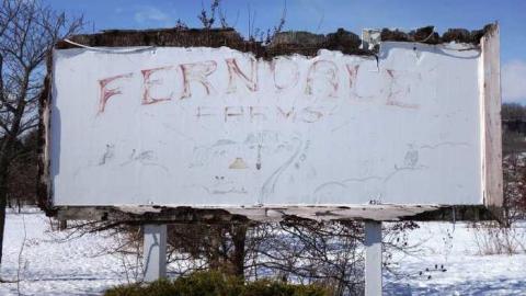 March 2014 - Abandoned-Cat-Lady-House13.jpg