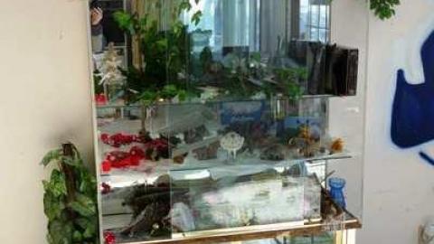 March 2014 - Abandoned-Cat-Lady-House14.jpg