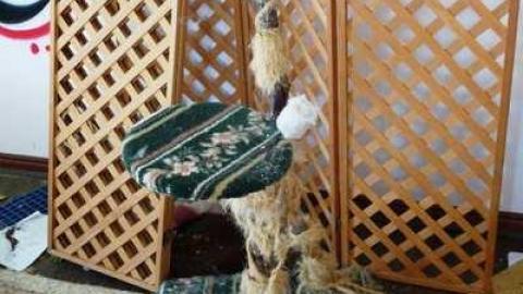 March 2014 - Abandoned-Cat-Lady-House455.jpg