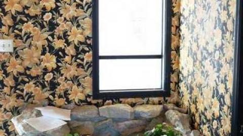 March 2014 - Abandoned-Cat-Lady-House17.jpg