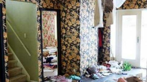 March 2014 - Abandoned-Cat-Lady-House458.jpg