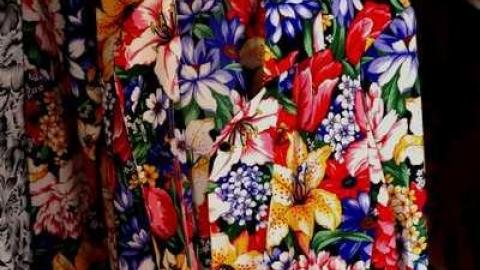 March 2014 - Abandoned-Cat-Lady-House19.jpg