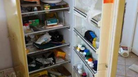 March 2014 - Abandoned-Cat-Lady-House460.jpg