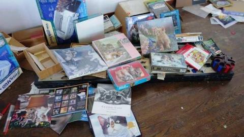 March 2014 - Abandoned-Cat-Lady-House462.jpg