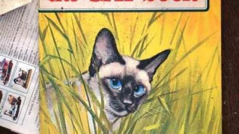 March 2014 - Abandoned-Cat-Lady-House284.jpg