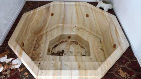 March 2014 - Abandoned-Cat-Lady-House465.jpg