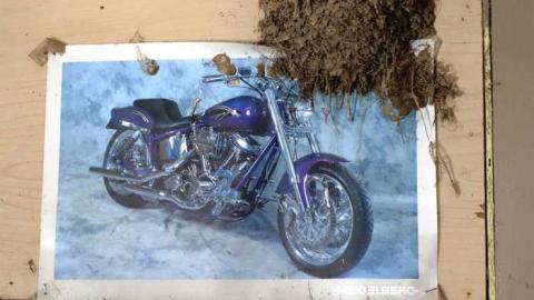 Photo from March 2014