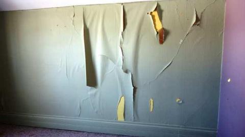 March 2014 - DSC05043.jpg