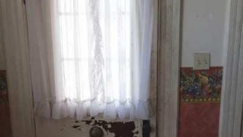 March 2014 - DSC05059.jpg