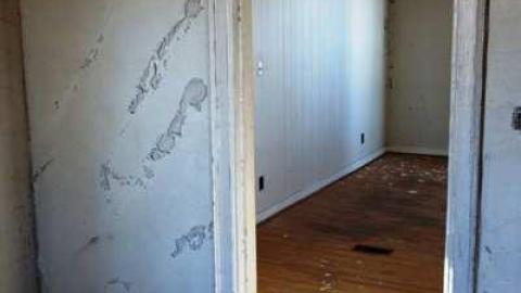 March 2014 - DSC05092.jpg