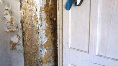 March 2014 - DSC05110.jpg