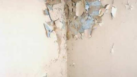 March 2014 - DSC05111.jpg