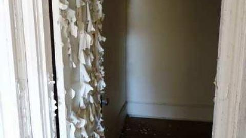 March 2014 - DSC05119.jpg