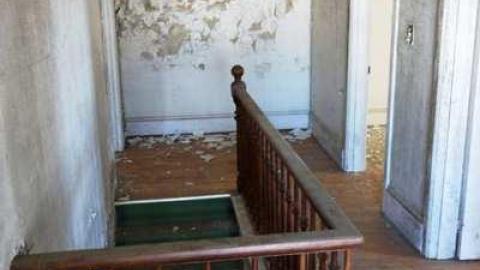 March 2014 - DSC05137.jpg