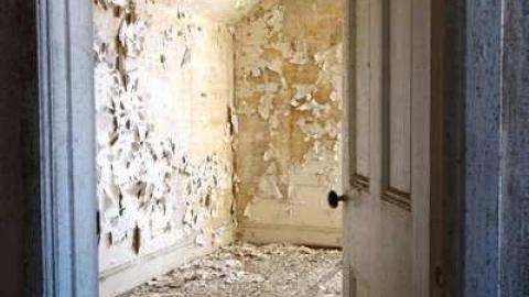 March 2014 - DSC05150.jpg