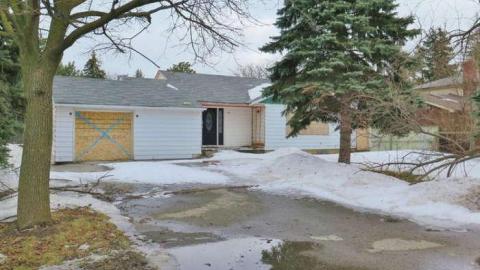 TGTN #2: Free Wood House photo 2