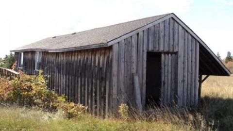 Gallery #1 - 90-renovated..-then-abandoned9.jpg