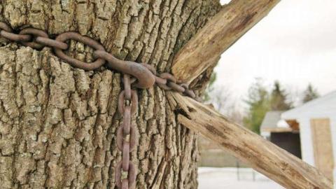 435 - TGTN-3-Roomy-Gazebo-House7.jpg