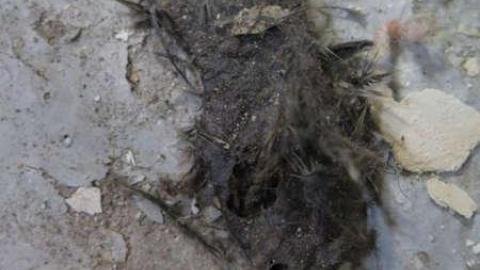 Pink or Bust - TGTN-5-Happy-Wife-Happy-Life7.jpg