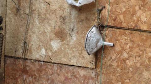 TGTN #5: Happy Wife Happy Life photo 3