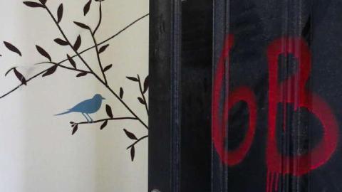 And Learn to Fly - TGTN-4-Spread-Your-Wings6.jpg