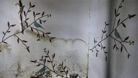 TGTN #4: Spread Your Wings photo 5