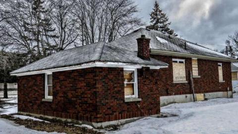 TGTN #4: Spread Your Wings photo 4