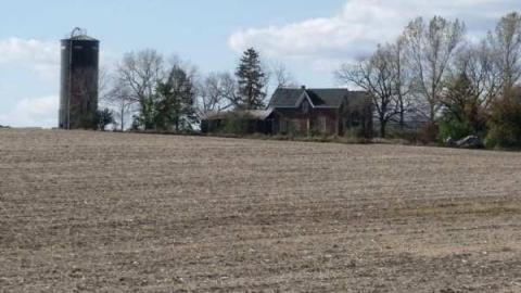 8th Line Farm photo 4