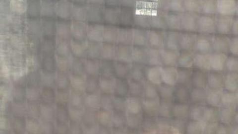 Suburban Outcast - Vaughan, Ontario