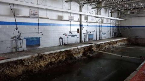 March 2014 - We-Love-Cars50.jpg