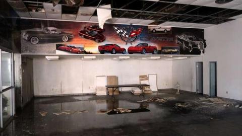 March 2014 - We-Love-Cars55.jpg