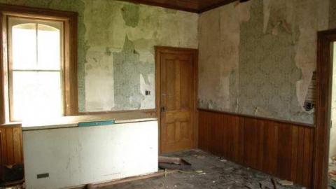 Abandoned Beauty - DSC_4648.jpg