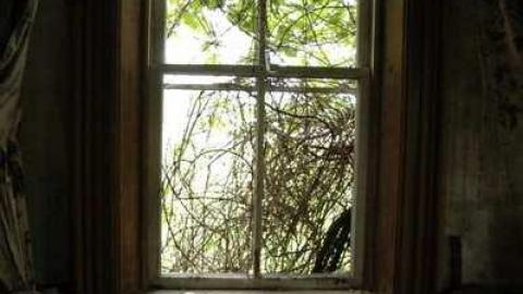 Abandoned Beauty - DSC_4657.jpg