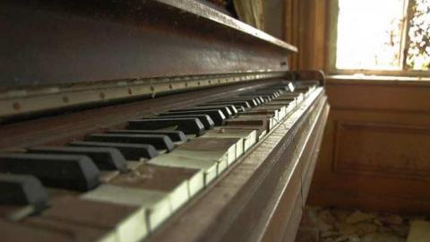 Abandoned Beauty - DSC_4661aa.jpg