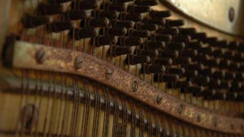 Abandoned Beauty - DSC_4666aa.jpg