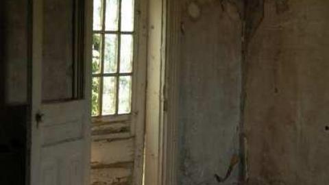 Abandoned Beauty - DSC_4693aa.jpg