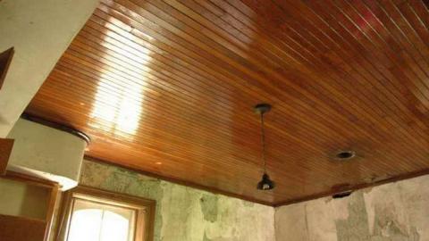 Abandoned Beauty - DSC_4725.jpg