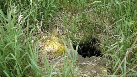 Abandoned Beauty - DSC_4731aa.jpg