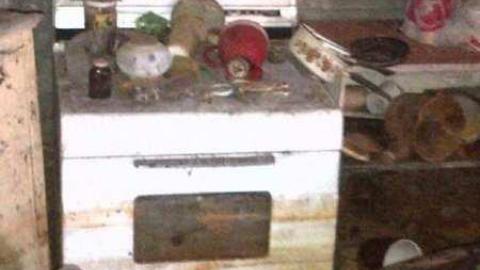 Ninth Line Gem - Milton-20140321-00052.jpg