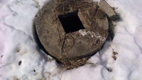 Ninth Line Gem - Milton-20140321-00090.jpg