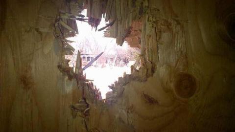 Nice Ninth Line Decay! - Milton-20140321-00069.jpg