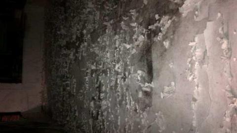 Nice Ninth Line Decay! - Milton-20140321-00080.jpg