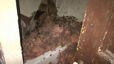 Nice Ninth Line Decay! - Milton-20140321-00086.jpg