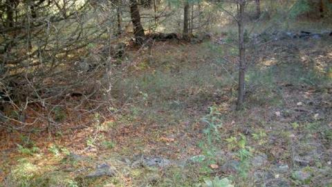 The Untamed Ghost Town - Ballycroy-(ghost-town)28.jpg