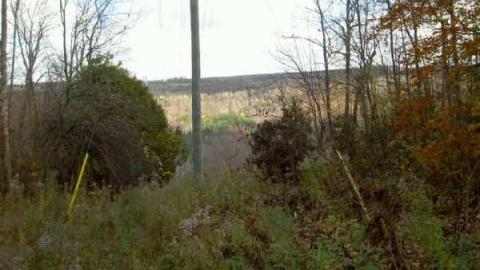 Eugenia 2010 - Eugenia-Falls--Ghost-Town18.jpg