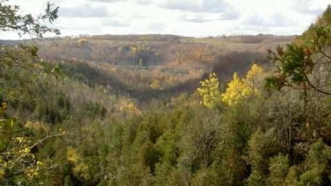 Eugenia 2010 - Eugenia-Falls--Ghost-Town10.jpg