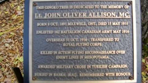 Eugenia 2010 - Eugenia-Falls--Ghost-Town13.jpg